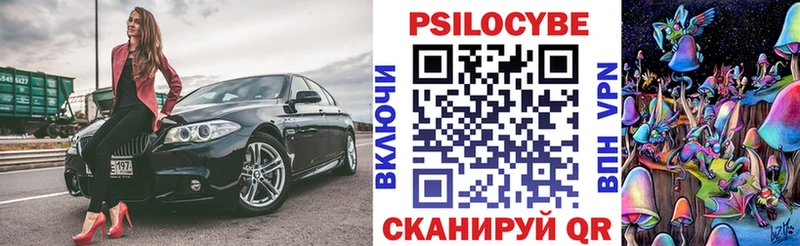Галлюциногенные грибы Psilocybine cubensis  Купить закладки  Среднеуральск 